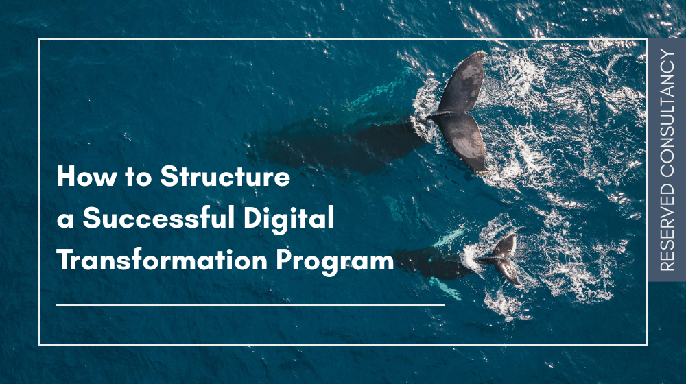Reserved consultancy how to structure a successful digital transformation program